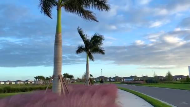 Usa Florida Suburb View Residential Homes — Stock Video