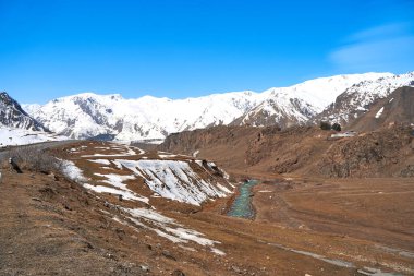 Berrak buzlu suyu olan bir dağ nehri baharın başlarında bir dağ geyiğinin içinden akar..