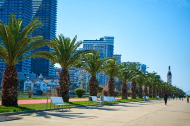 Georgia Batumi 'nin modern tatil köyü. Toprağın üzerinde düzgün bir palmiye çizgisi.