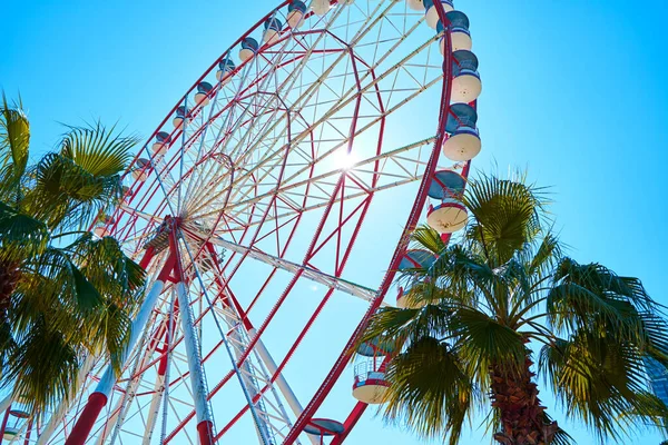 Ferris Wiel Het Park Aan Dijk Bij Zee — Stockfoto