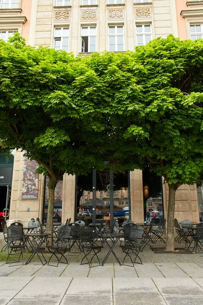 位于市中心的私人餐厅 桌子放在维护良好的修剪过的树下 — 图库照片