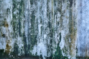 Yeşil küf lekeli beton duvar dokusu.