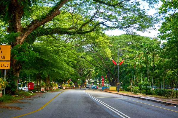 Snelweglandschap Een Tropisch Eiland Groene Bomen Langs Weg Langkawi Maleisië — Stockfoto