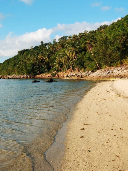 Resort Een Tropisch Eiland Oceaan Palmbomen Het Strand Helder Water — Stockfoto