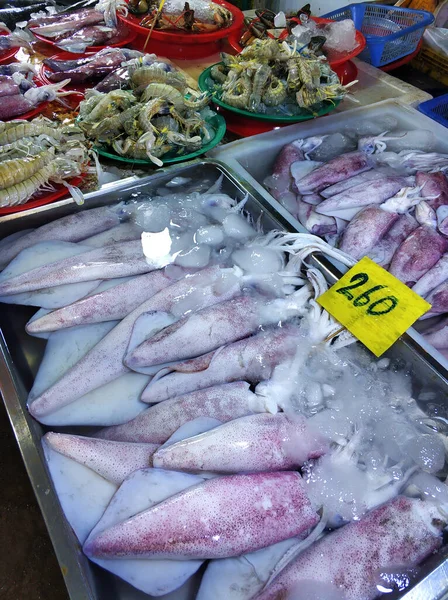 魚市場のカウンターで水揚げされたばかりのイカ — ストック写真