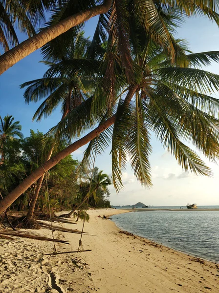 Een Schommel Hangt Aan Een Palmboom Een Tropisch Zandstrand Aan — Stockfoto