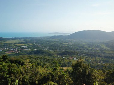 Okyanustaki bir adadaki orman vadisinin panoramik manzarası.