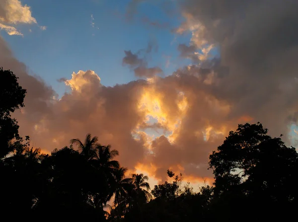Wieczorne Niebo Tropikach Sylwetkami Palm Promieniami Zachodu Słońca — Zdjęcie stockowe