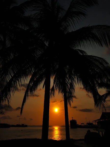 Tropikalna Wyspa Palmy Tle Zachodzącego Słońca — Zdjęcie stockowe