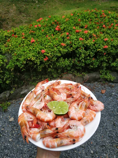 Plate Larger Shrimp Breakfast Seafood — Stock Photo, Image