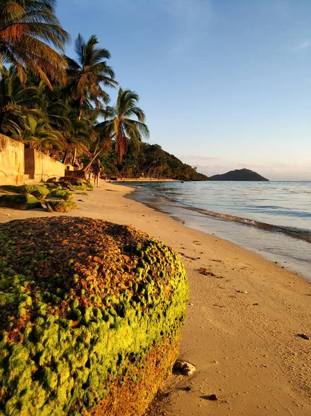 海の近くの砂浜に緑藻で覆われた大きな石 熱帯の性質 — ストック写真