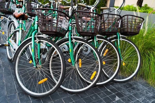 Fahrradabstellplätze Fahrradverleih Identische Fahrräder Auf Dem Parkplatz Samui Thailand 2020 — Stockfoto