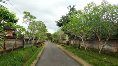 Bali adasında pitoresk bir yol. Peri masalı adasının gizemli izleri.