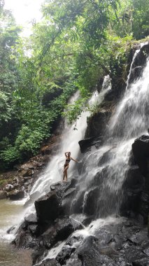Tropikal ormanda bir şelale. Kayalık bir uçurumdan aşağı akan su.