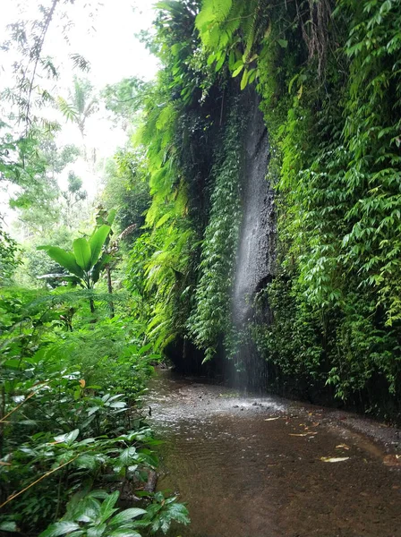 Водоспад Тропічних Джунглях Вода Спускається Скелястою Скелею — стокове фото