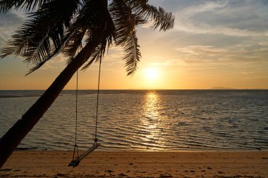 Gün batımının arka planında palmiye dalları var. Tropik adaların romantizmi.