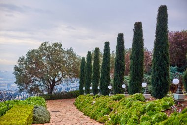 Walk through the botanical garden. View of green plants.