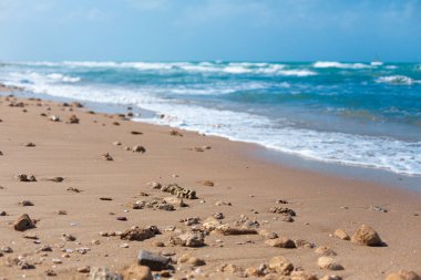 Shells and stones on the sandy seashore. A long-awaited vacation at sea.