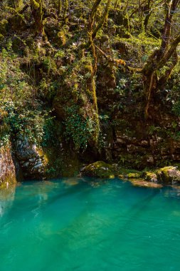The natural pool of the mountain river with emerald clear water.