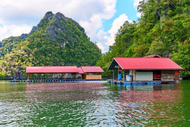 Malezya 'nın Langkawi adasında yüzen bir balık çiftliği..