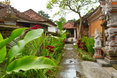 Bali adasında bir evin avlusunun içi..