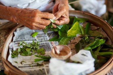 Balili bir kadın ön bahçesinde otururken koka yapraklarını öğütüyor..