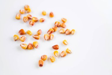 Flat lay microgreen seeds on white background.