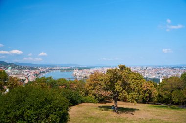 Budapeşte 'de şehir manzaralı bir parkta çimenlik..