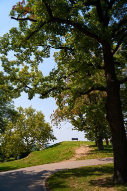 An empty bench on a park lawn against the sky.