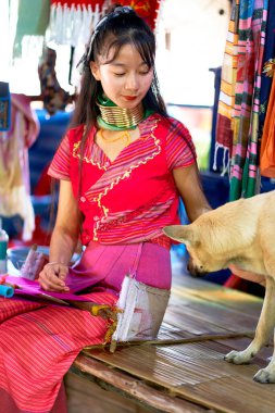 Uzun boyunlu bir kabileden bir kadının portresi, boyunlarındaki metal halkalarla tanınıyor, renkli bir battaniye örüyor. Kültürel çeşitliliği ve geleneği kutluyor. Chiang Rai, Tayland - 02.09.2023
