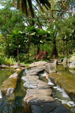 Crossing the river on the stones lying in the water in the city park.
