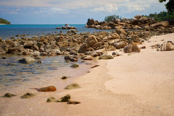 Stones Sea Sandy Shore Perfect Deserted Beach — ストック写真