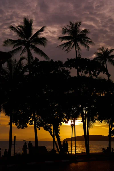 日落在海滨 倾听人们在棕榈树间漫步的声音 — 图库照片
