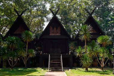 Chiang Rai, Tayland - 09.02.2022 Binalar, tapınak kompleksinin tüyler ürpertici ve gizemli atmosferine katkıda bulunan alışılmadık şekilleri, karmaşık tasarımları ve koyu renk düzeni ile karakterize edilir.