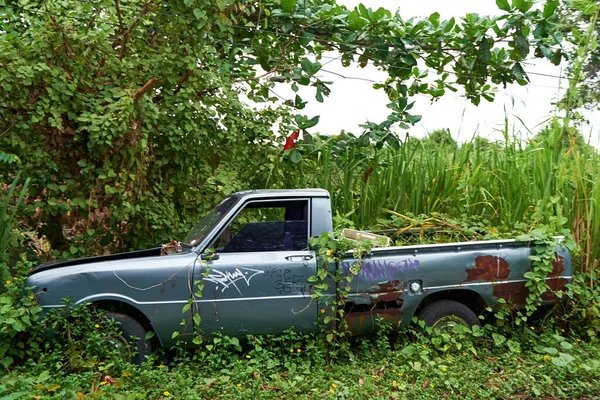Dlouhý Opuštěný Pickup Lese Zarostlý Křovím — Stock fotografie