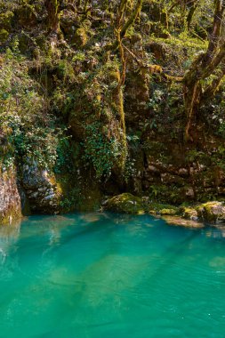 The natural pool of the mountain river with emerald clear water.
