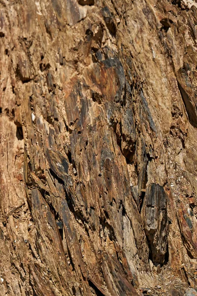 Структура Гірських Порід Сонці Кам Яна Структура Скелі — стокове фото