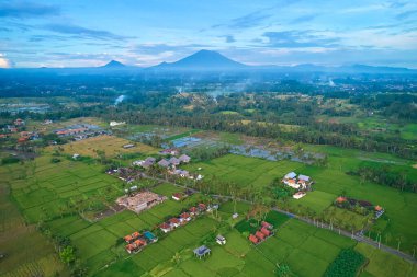 Agung Dağı Panoraması ve Bali Adası 'ndaki pirinç tarlaları.