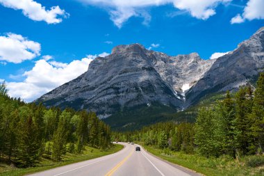 Alberta 'daki Banff Ulusal Parkı' ndaki Rocky Dağları 'ndan güzel bir manzara. Yazın güneşli bir günde, kozalaklı bir ormanı geçtikten sonra dağlardaki bir yolun manzarası.