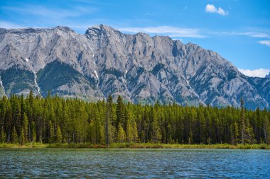 Güzel, temiz, şeffaf bir dağ gölü. Kanada 'nın Alberta eyaletindeki Kananaski' deki kayalık dağlar manzaralı.