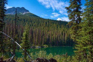 İnanılmaz güzel şeffaf zümrüt göl. Kara Prens Sirk Yolu 'ndaki kayalık dağın yansıması. Güneşli yaz gününde Alberta, Kananaskis 'te kar yağan görkemli Kanada dağları.