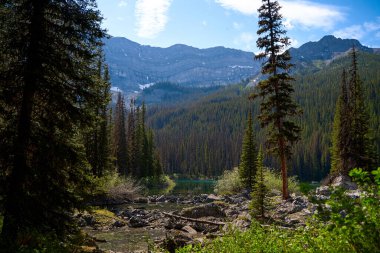 İnanılmaz güzel şeffaf zümrüt göl. Kara Prens Sirk Yolu 'ndaki kayalık dağın yansıması. Güneşli yaz gününde Alberta, Kananaskis 'te kar yağan görkemli Kanada dağları.