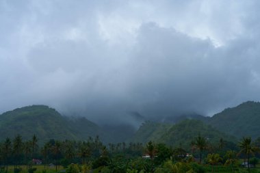 Artan dağlar ve palmiye ağaçları olan pirinç tarlasında tropik bir yağmur fırtınası.