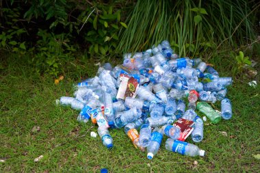Turistler tarafından çimlere atılan bir yığın boş plastik şişe. Ekoloji ve insan kirliliği sorunu. Bali, Endonezya - 01.01.2023