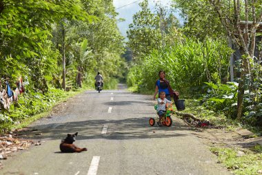 Popüler turizm adası Bali 'deki bir Asya köyünde asfalt bir yolda bir köpek yatıyor. Bali, Endonezya - 03.08.2018