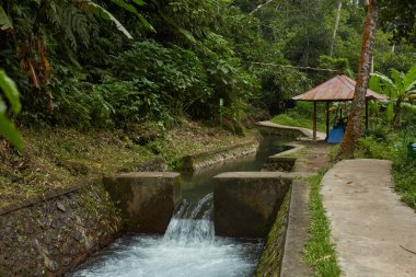 Nehirli bir kanal ve Bali 'nin popüler turistik adasında ormanda dağa tırmanan bir patika.