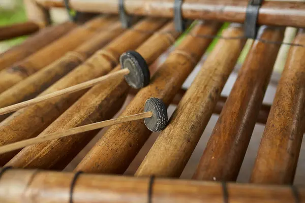 Geleneksel müzik aleti Gamelan popüler Bali adasında bambudan yapılmıştır.