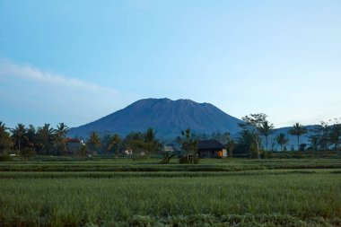 Agung Dağı 'nın panoraması ve Bali adasındaki pirinç tarlaları. Dağın arka planında palmiye ağaçları ve mısır tarlaları var. Güneşli bir günde Agung volkanı bulutlarla kaplı.
