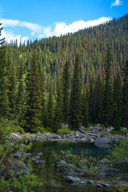 İnanılmaz güzel şeffaf zümrüt göl. Kara Prens Sirk Yolu 'ndaki kayalık dağın yansıması. Güneşli yaz gününde Alberta, Kananaskis 'te kar yağan görkemli Kanada dağları.