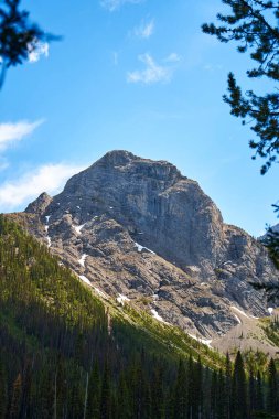 Alberta 'nın kayalık dağları güneşli bir yaz gününde kozalaklı ormanlarla çevrilidir.